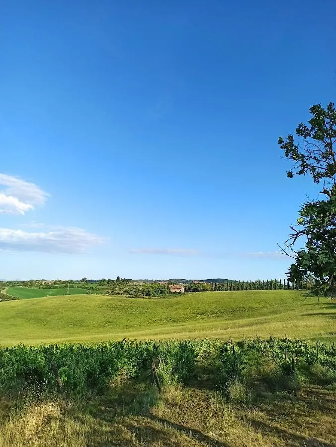 Villa Podere Cartaio Bio Estate Pool Airc سان روكّو أَ بيلّي