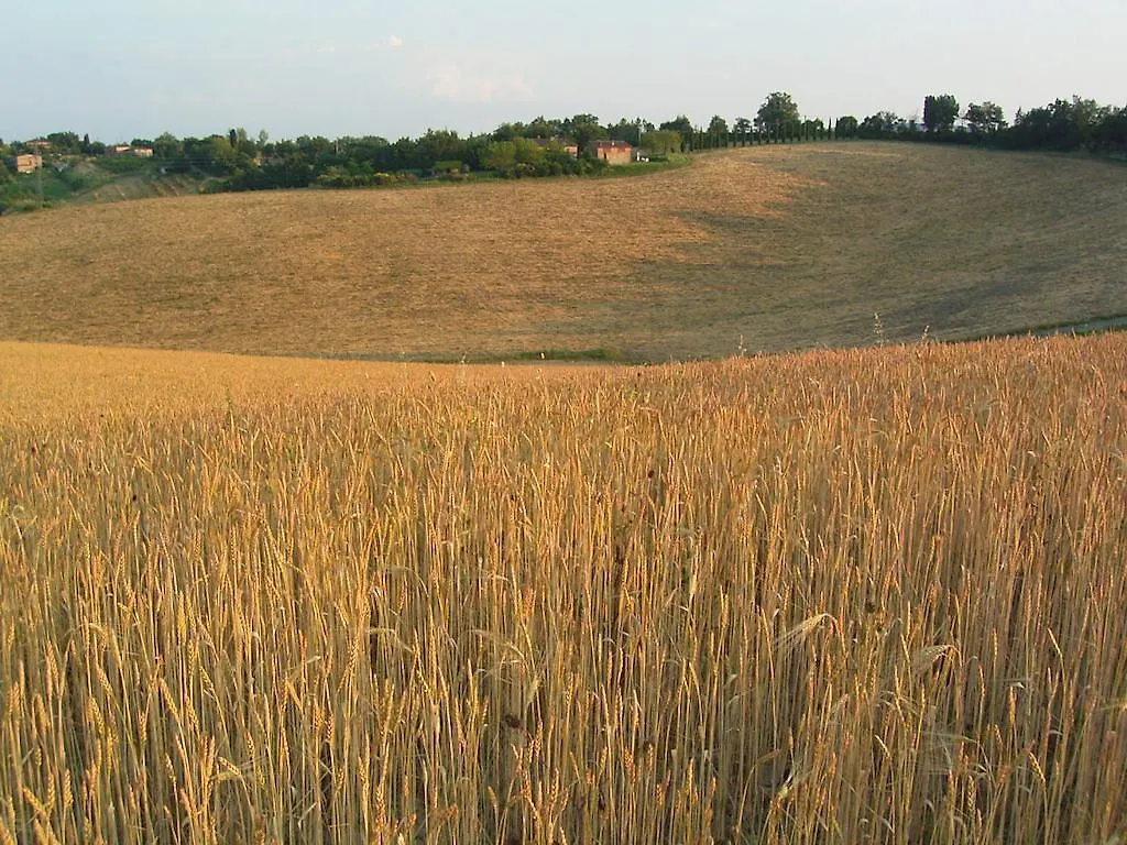 Villa Podere Cartaio Bio Estate Pool Airc San Rocco a Pilli Bauernhof